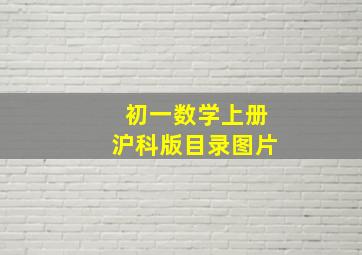 初一数学上册沪科版目录图片