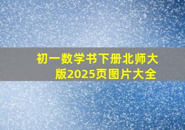 初一数学书下册北师大版2025页图片大全