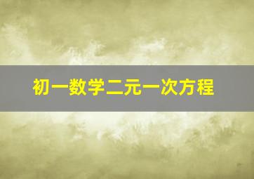 初一数学二元一次方程