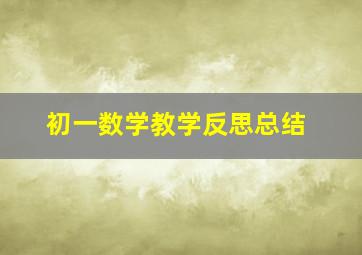 初一数学教学反思总结