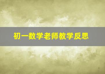 初一数学老师教学反思