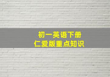 初一英语下册仁爱版重点知识