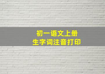 初一语文上册生字词注音打印