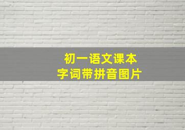 初一语文课本字词带拼音图片