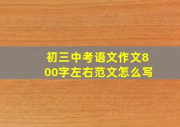 初三中考语文作文800字左右范文怎么写