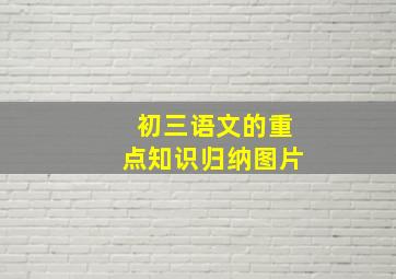 初三语文的重点知识归纳图片