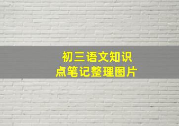 初三语文知识点笔记整理图片