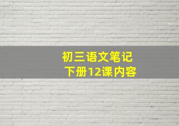 初三语文笔记下册12课内容