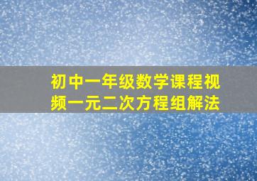 初中一年级数学课程视频一元二次方程组解法