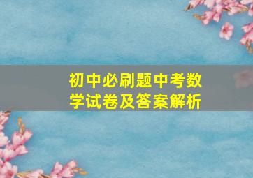 初中必刷题中考数学试卷及答案解析