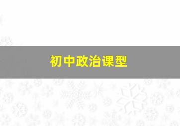 初中政治课型