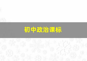 初中政治课标