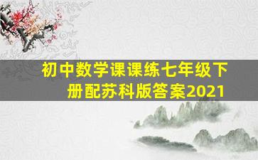 初中数学课课练七年级下册配苏科版答案2021