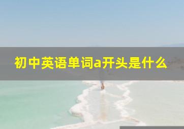 初中英语单词a开头是什么