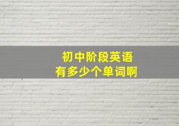 初中阶段英语有多少个单词啊