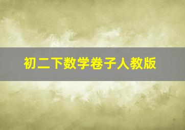 初二下数学卷子人教版