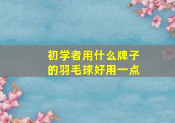 初学者用什么牌子的羽毛球好用一点