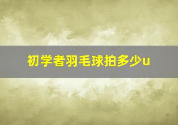 初学者羽毛球拍多少u