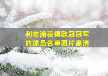 利物浦获得欧冠冠军的球员名单图片高清