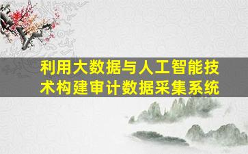 利用大数据与人工智能技术构建审计数据采集系统