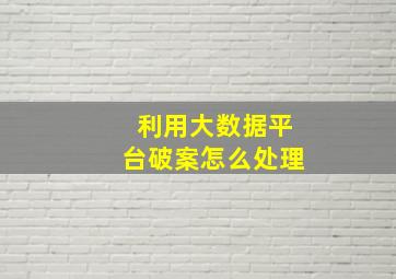 利用大数据平台破案怎么处理