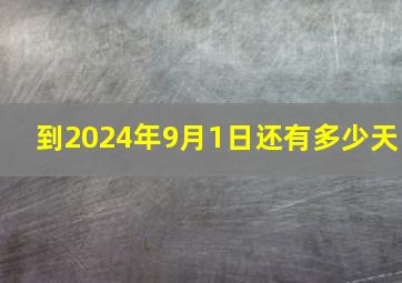 到2024年9月1日还有多少天