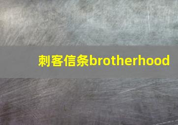 刺客信条brotherhood