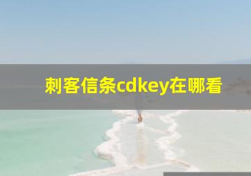 刺客信条cdkey在哪看