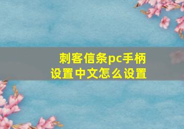 刺客信条pc手柄设置中文怎么设置