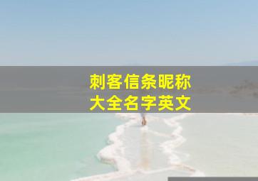 刺客信条昵称大全名字英文