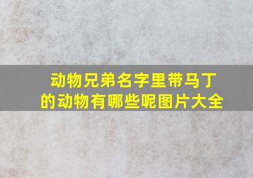 动物兄弟名字里带马丁的动物有哪些呢图片大全