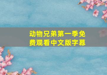 动物兄弟第一季免费观看中文版字幕