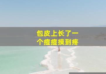 包皮上长了一个痘痘摸到疼