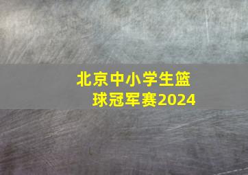 北京中小学生篮球冠军赛2024