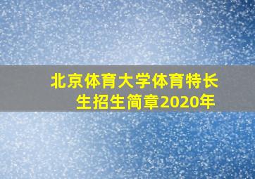 北京体育大学体育特长生招生简章2020年