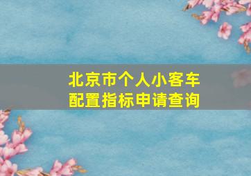 北京市个人小客车配置指标申请查询