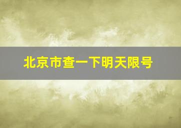 北京市查一下明天限号