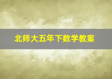 北师大五年下数学教案