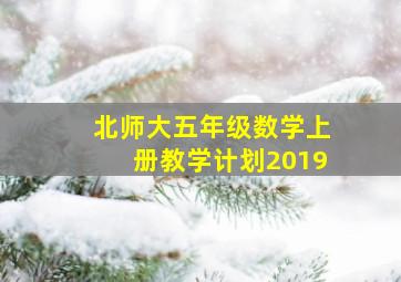 北师大五年级数学上册教学计划2019