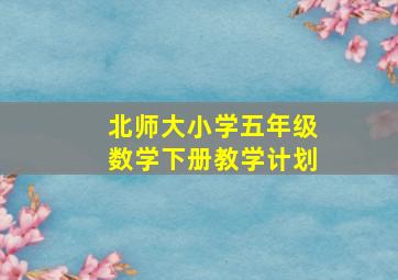 北师大小学五年级数学下册教学计划