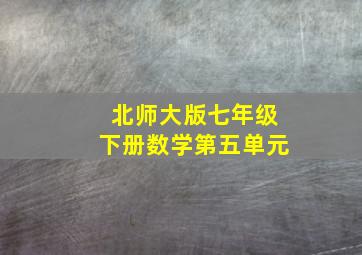 北师大版七年级下册数学第五单元