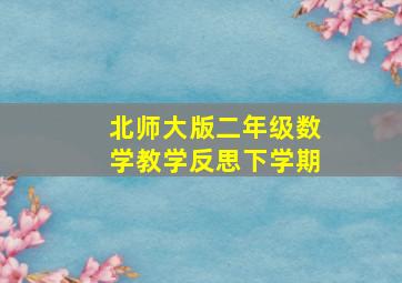 北师大版二年级数学教学反思下学期