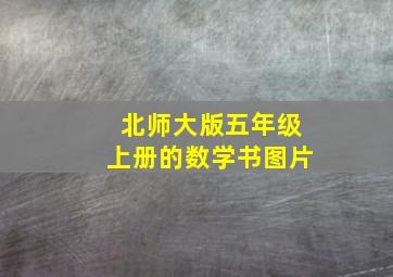 北师大版五年级上册的数学书图片