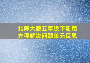 北师大版五年级下册用方程解决问题单元反思