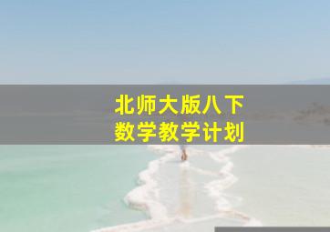 北师大版八下数学教学计划