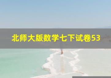 北师大版数学七下试卷53