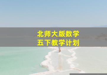 北师大版数学五下教学计划