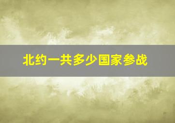 北约一共多少国家参战