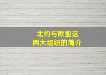 北约与欧盟这两大组织的简介