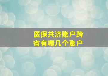 医保共济账户跨省有哪几个账户